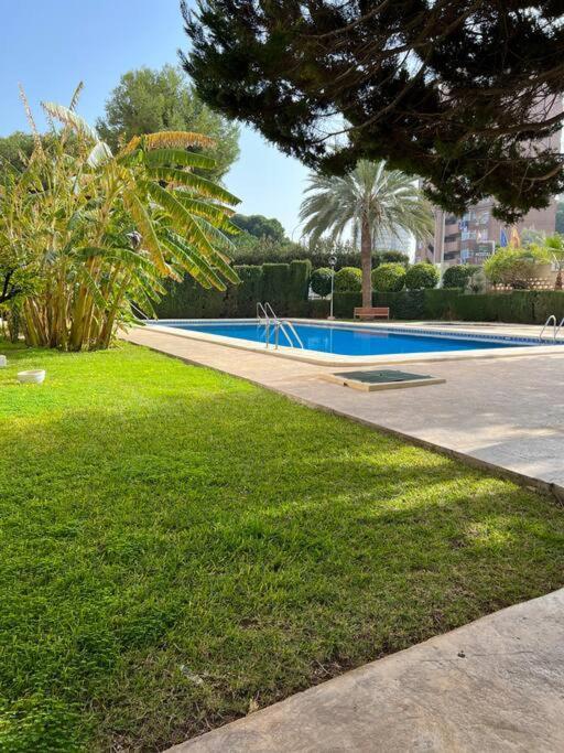 דירות אליקאנטה Apartamento Levante מראה חיצוני תמונה